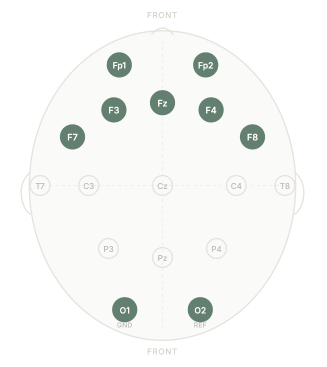 EEG Channel Layout