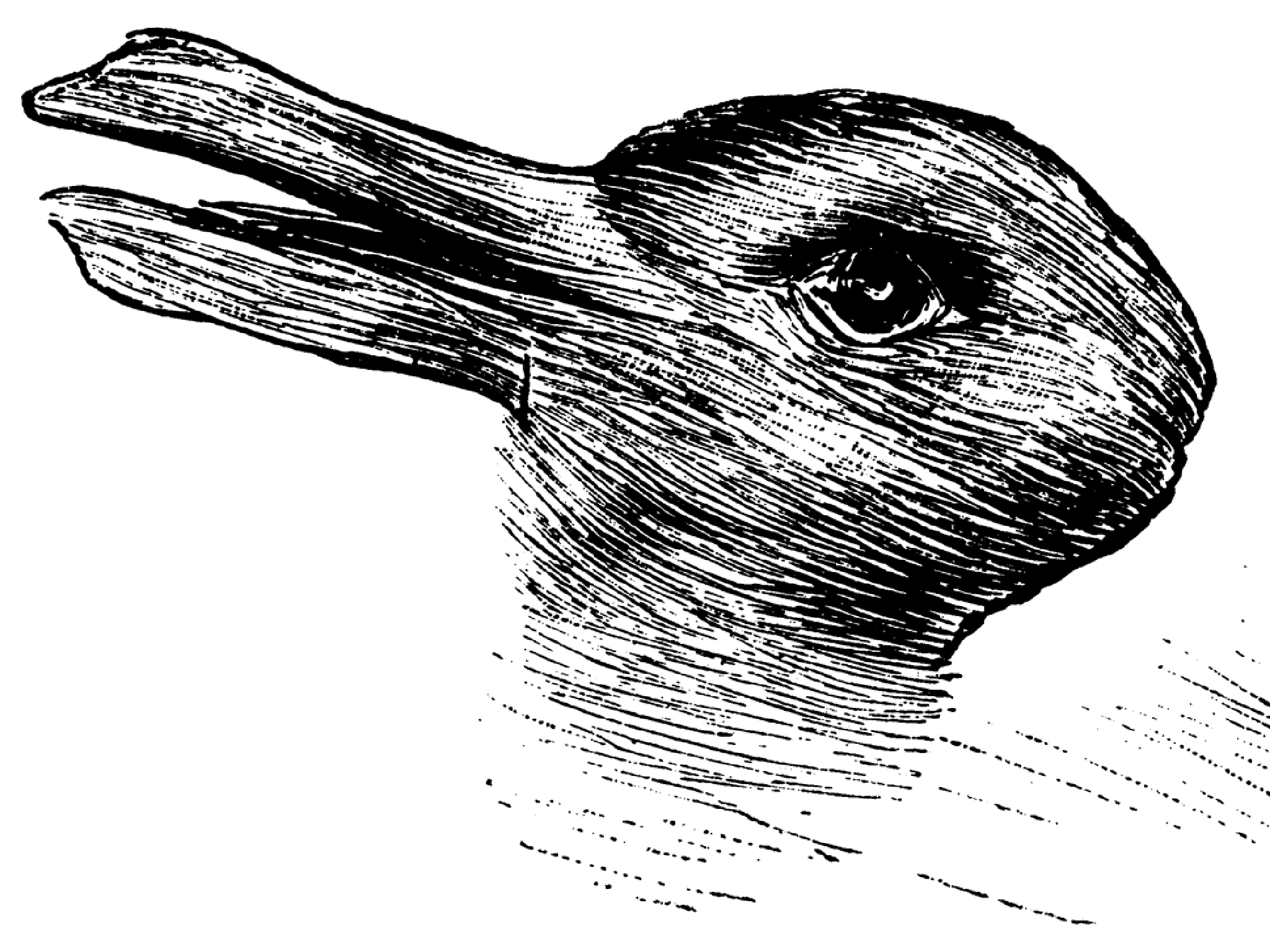 Duck-rabbit illusion